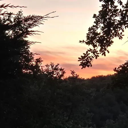 Met Zwembad Dordogne *
