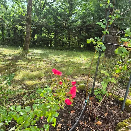 Vila Met Zwembad Dordogne